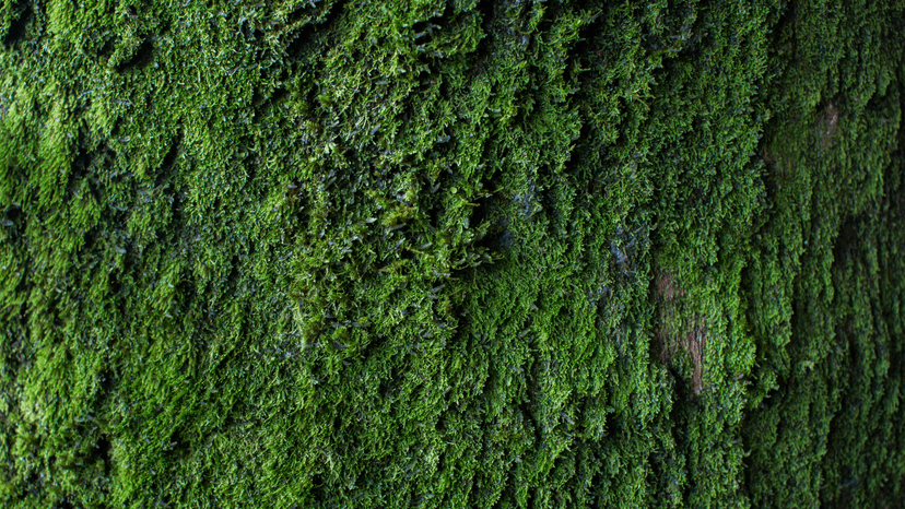 Jayco Corporation Chooses to Implement SugarCRM