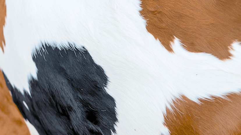 Aumentando la eficiencia operativa