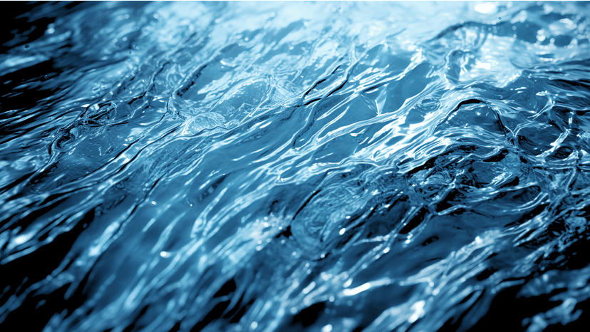 Digitization for Growth