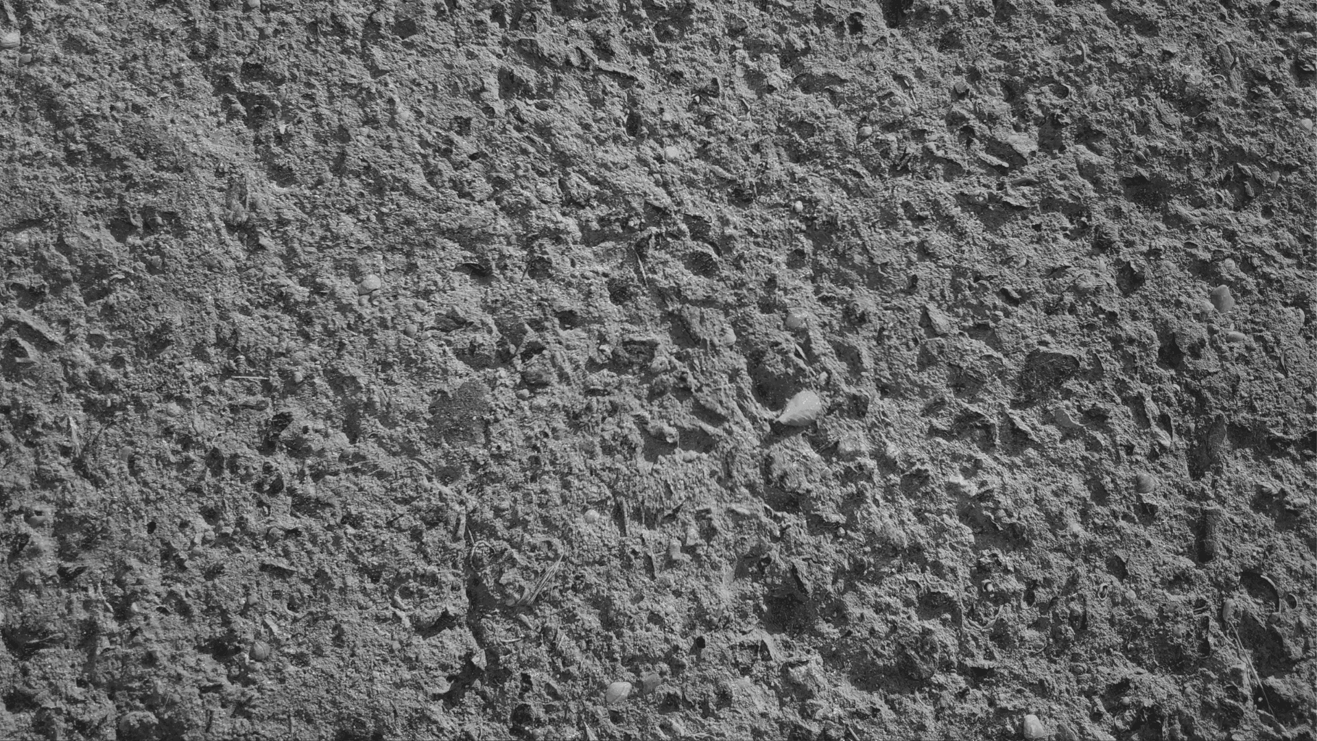 Kreato elige implementar SugarCRM