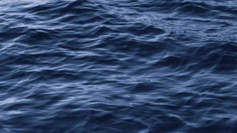 Marine Instruments Chooses to Implement SugarCRM